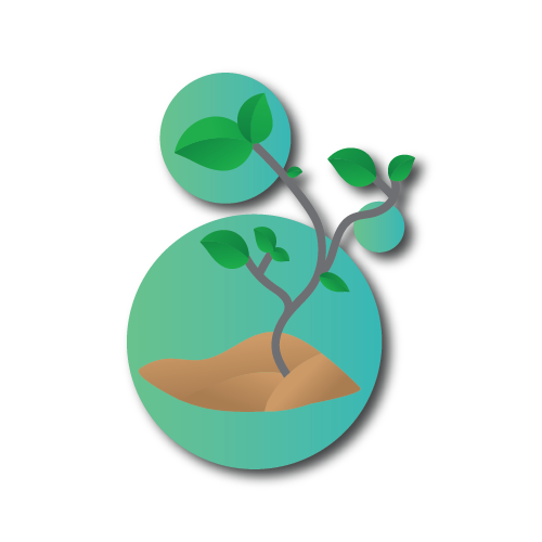 Illustrated Growing Tree representing Employee Training and Employee Onboarding, and Employee Onboarding